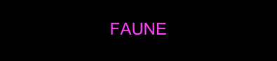 
FAUNE